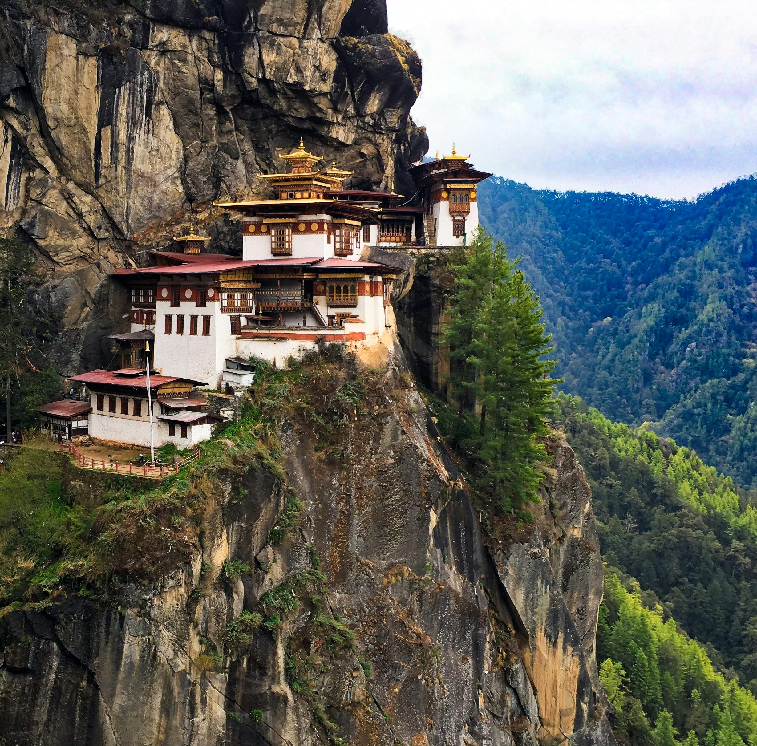 Lost and Free travel experience